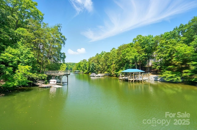 10043 Tepa Pl, Tega Cay, SC 29708 - dock area featuring a water view and a view of trees