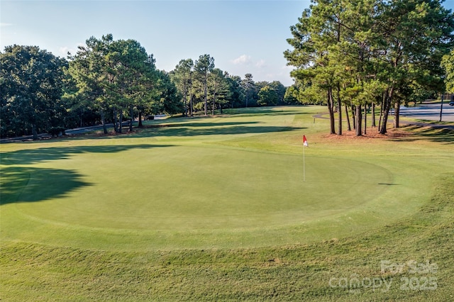 10043 Tepa Pl, Tega Cay, SC 29708 - view of community featuring view of wooded area, golf course view, and a putting area