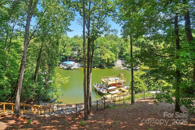 10043 Tepa Pl, Tega Cay, SC 29708 - photo 43