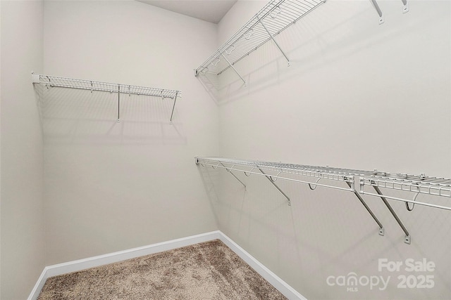 11733 Mesquite Rd, Huntersville, NC 28078 - walk in closet with carpet flooring