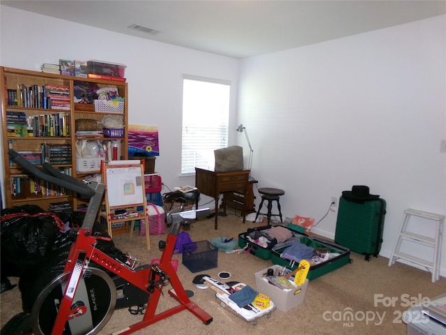 1818 Windy Willow Ln, Dallas, NC 28034 - office area with carpet flooring