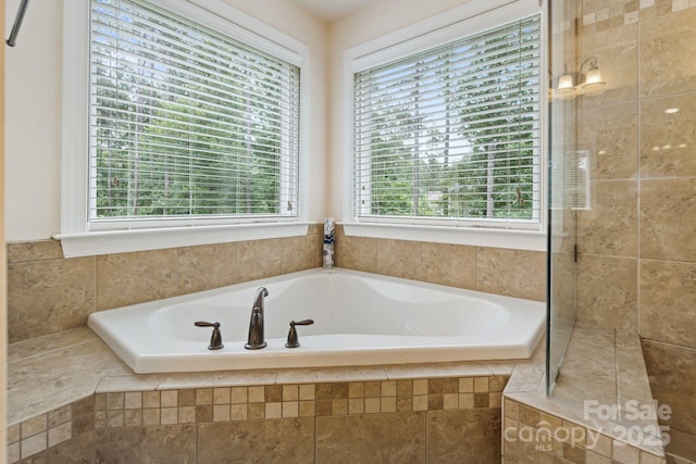 274 Cove Creek Loop, Mooresville, NC 28117 - full bathroom featuring healthy amount of natural light and a bath