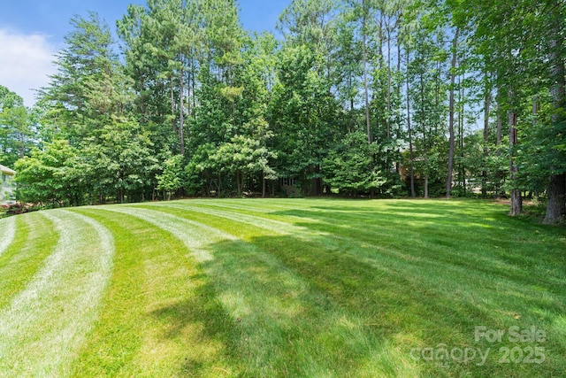 274 Cove Creek Loop, Mooresville, NC 28117 - view of green lawn
