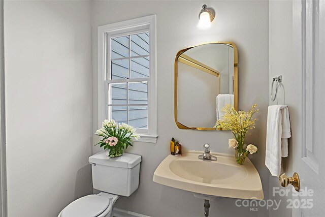 9904 Brigstock Ct, Charlotte, NC 28269 - photo 14