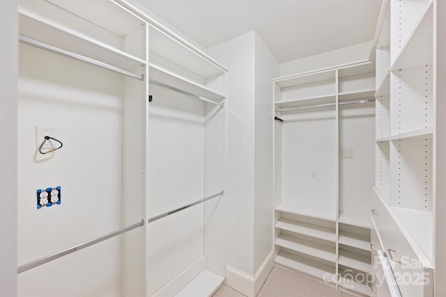 2223 Club Rd, Charlotte, NC 28205 - view of walk in closet
