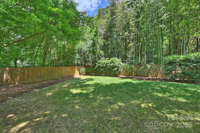 2223 Club Rd, Charlotte, NC 28205 - view of fenced backyard