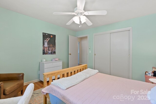 6 Willow Rd, Asheville, NC 28804 - photo 21