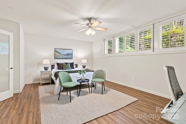 6 Willow Rd, Asheville, NC 28804 - photo 25