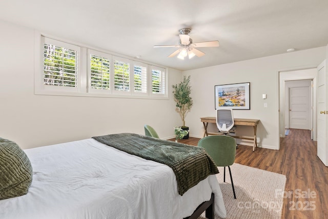 6 Willow Rd, Asheville, NC 28804 - photo 26