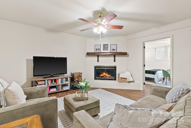 6 Willow Rd, Asheville, NC 28804 - photo 28