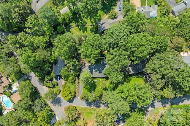 6 Willow Rd, Asheville, NC 28804 - photo 42