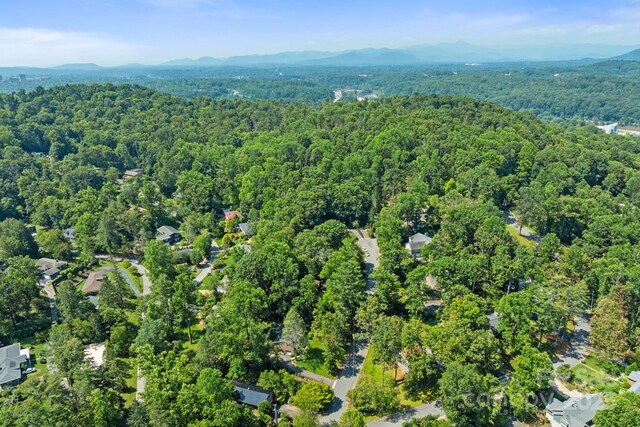 6 Willow Rd, Asheville, NC 28804 - photo 43