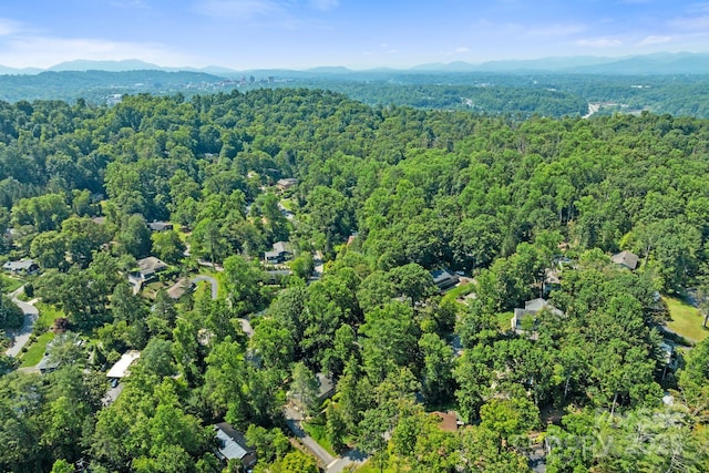 6 Willow Rd, Asheville, NC 28804 - photo 44