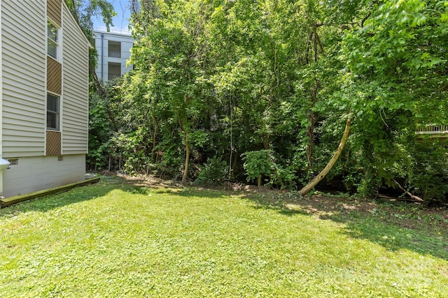 221 N Cedar St, Charlotte, NC 28202 - photo 38