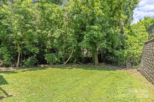 221 N Cedar St, Charlotte, NC 28202 - photo 39