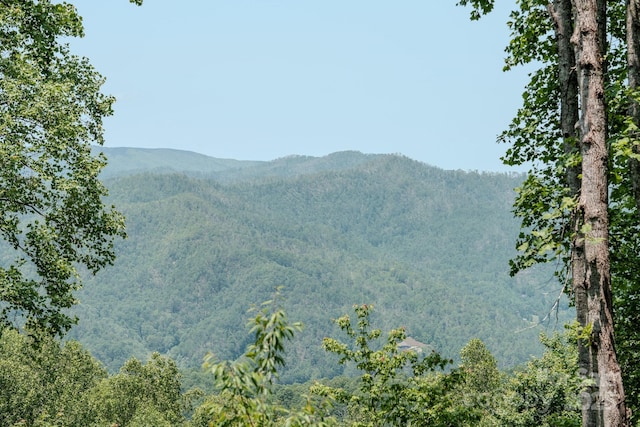 80 Dana Dr, Bakersville, NC 28777 - photo 9