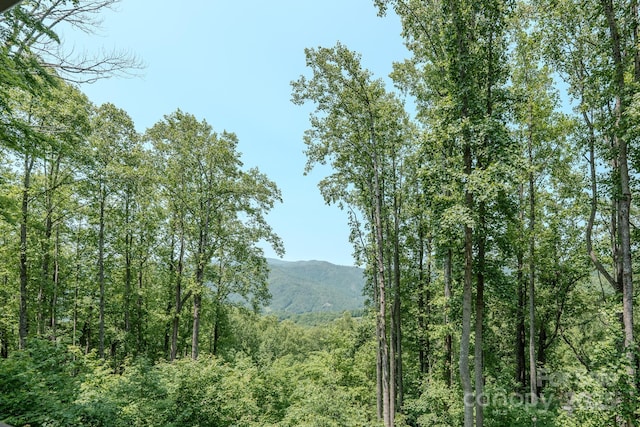 80 Dana Dr, Bakersville, NC 28777 - photo 10