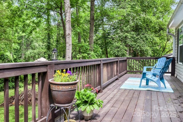 57 Fair Hollow Ln, Hendersonville, NC 28792 - photo 36