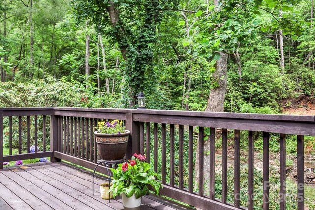 57 Fair Hollow Ln, Hendersonville, NC 28792 - photo 37