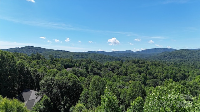 311 Mountain Crest Dr, Hendersonville, NC 28739 - photo 4