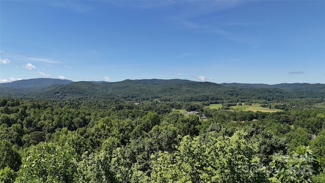 311 Mountain Crest Dr, Hendersonville, NC 28739 - photo 5