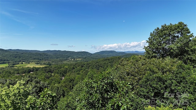 311 Mountain Crest Dr, Hendersonville, NC 28739 - photo 6