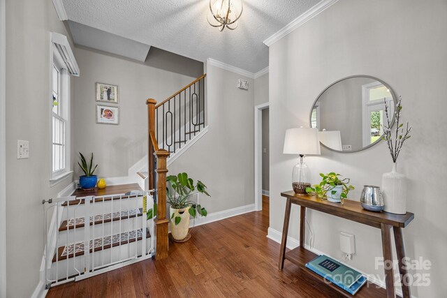201 Windsor Forest Cir, Fletcher, NC 28732 - foyer with a textured ceiling, wood finished floors, stairs, and healthy amount of natural light