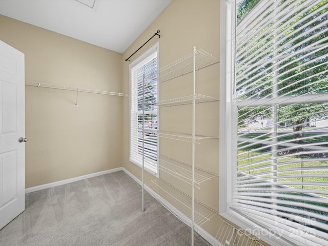 5921 Firethorne Ln, Concord, NC 28025 - spacious closet with carpet floors