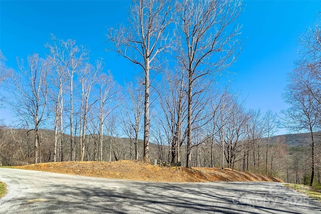 LOT158 Hunnicut Mountain Rd, Marion, NC 28752