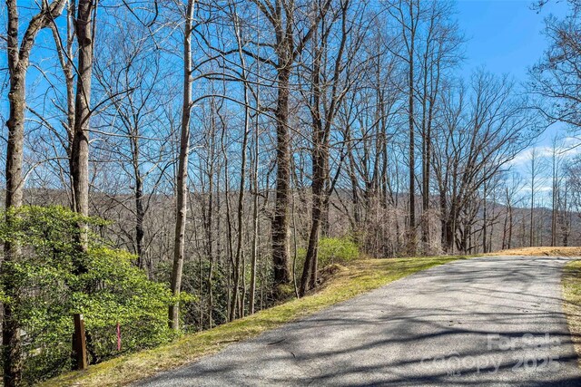 LOT158 Hunnicut Mountain Rd, Marion, NC 28752