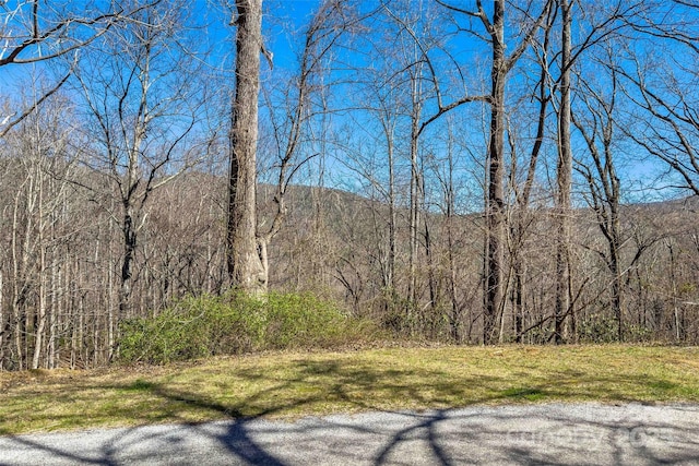 LOT158 Hunnicut Mountain Rd, Marion, NC 28752