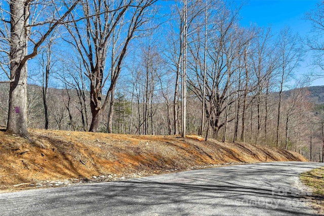 LOT158 Hunnicut Mountain Rd, Marion, NC 28752