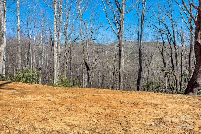 LOT158 Hunnicut Mountain Rd, Marion, NC 28752