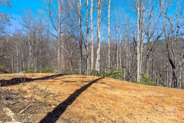 LOT158 Hunnicut Mountain Rd, Marion, NC 28752