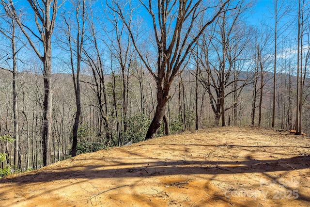 LOT158 Hunnicut Mountain Rd, Marion, NC 28752