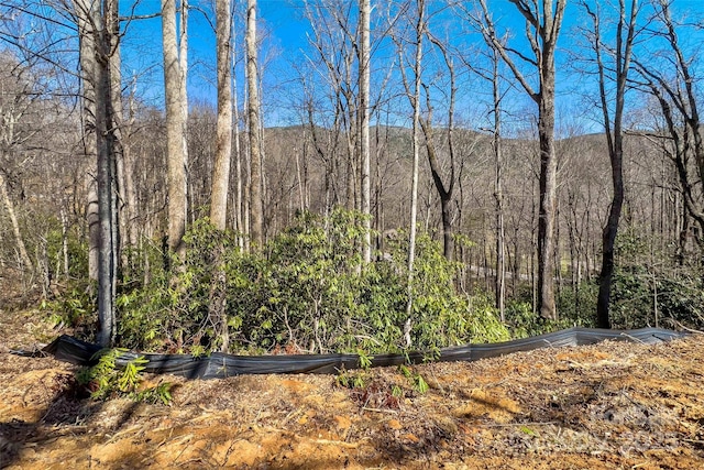 LOT158 Hunnicut Mountain Rd, Marion, NC 28752