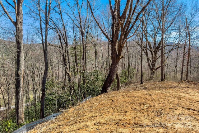 LOT158 Hunnicut Mountain Rd, Marion, NC 28752