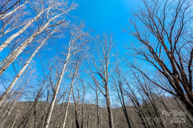 LOT158 Hunnicut Mountain Rd, Marion, NC 28752
