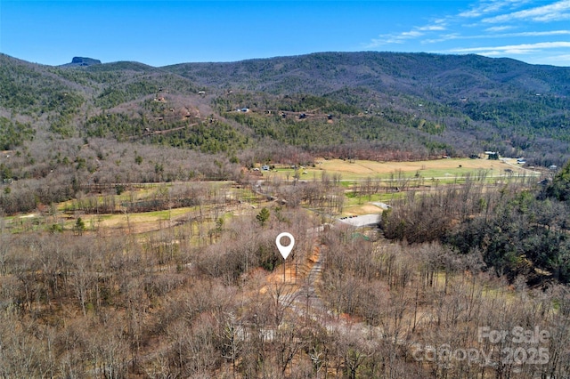 LOT158 Hunnicut Mountain Rd, Marion, NC 28752