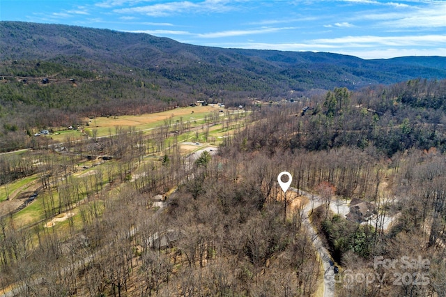 LOT158 Hunnicut Mountain Rd, Marion, NC 28752