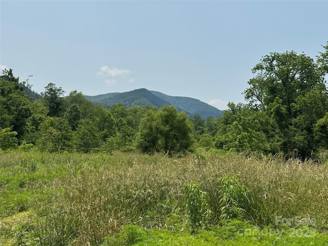 187 Hodges Creek Rd, Old Fort, NC 28762