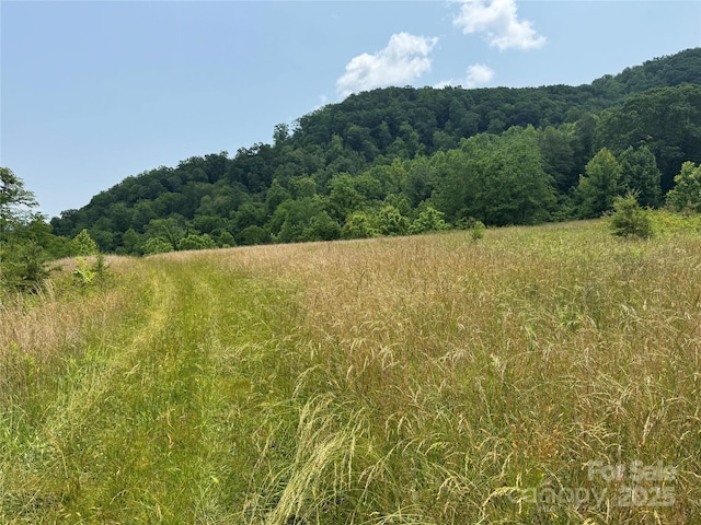 187 Hodges Creek Rd, Old Fort, NC 28762