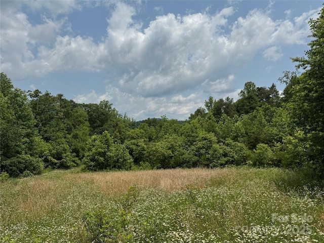 187 Hodges Creek Rd, Old Fort, NC 28762