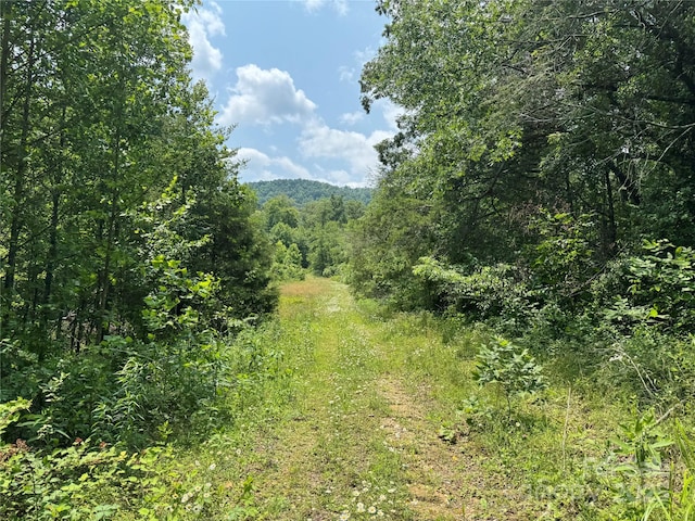 187 Hodges Creek Rd, Old Fort, NC 28762