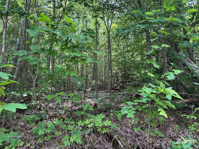 187 Hodges Creek Rd, Old Fort, NC 28762