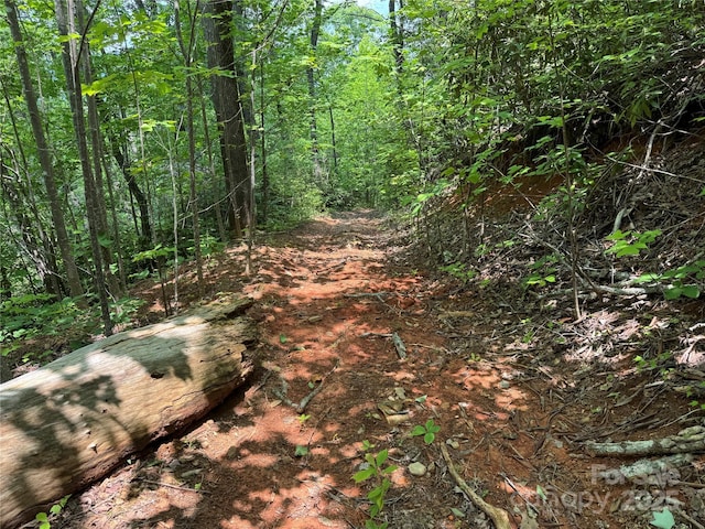 187 Hodges Creek Rd, Old Fort, NC 28762