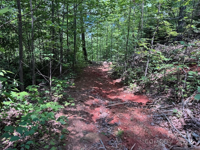 187 Hodges Creek Rd, Old Fort, NC 28762