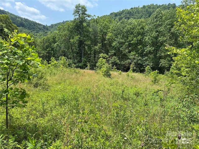 187 Hodges Creek Rd, Old Fort, NC 28762