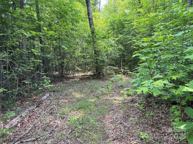 187 Hodges Creek Rd, Old Fort, NC 28762