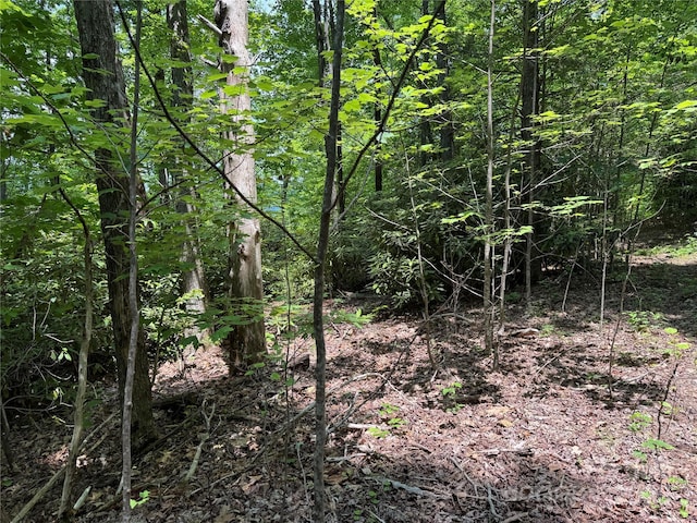 187 Hodges Creek Rd, Old Fort, NC 28762